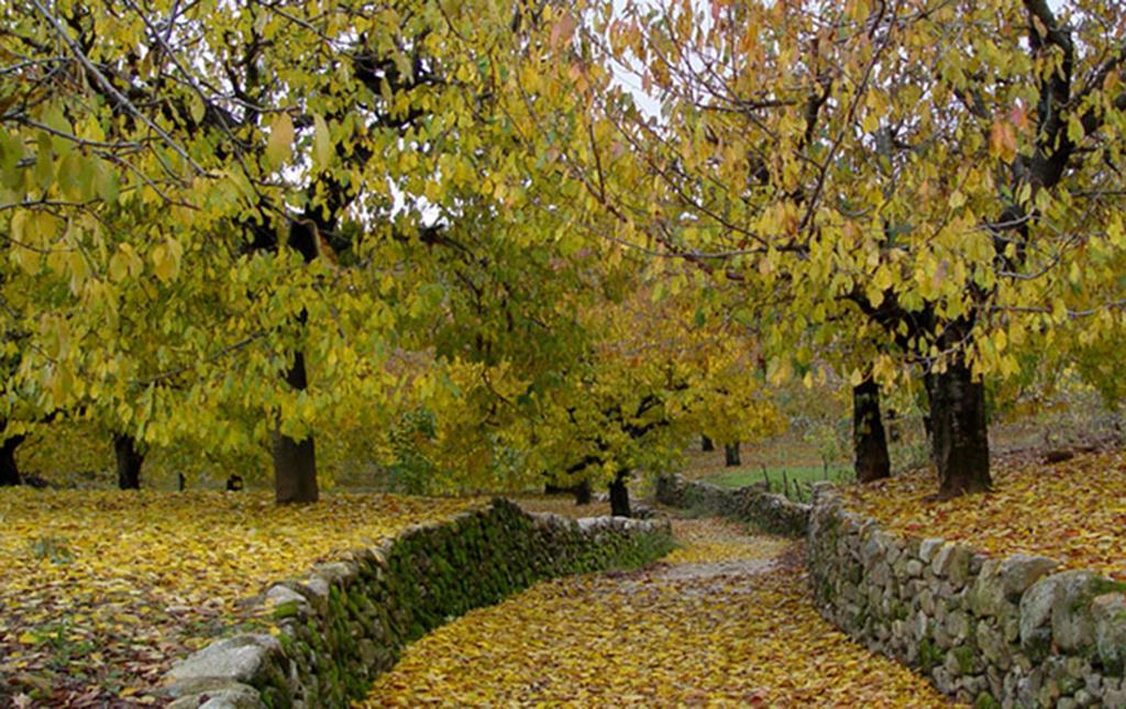 Apartamentos Valle Del Jerte El Huerto Del Cura Cabezuela Del Valle Zewnętrze zdjęcie